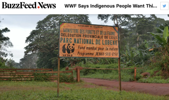 WWF, Buzzfeed, EU, European Union funding, indigenous, colonialism, national parks, democratic republic of congo, Messok Dja