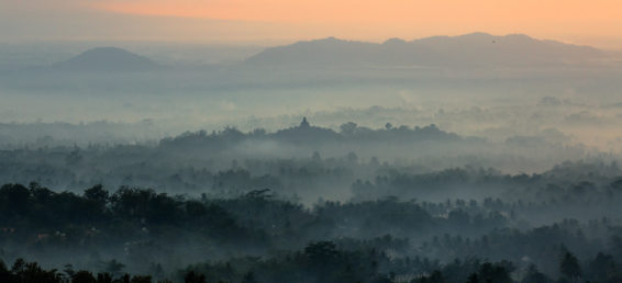 indonesia, social forestry, yogyakarta