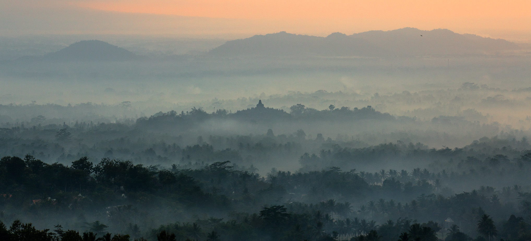 indonesia, social forestry, yogyakarta