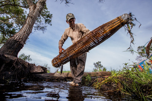 fishing, paludiculture, peatlands, sumatran elephant, sumatra