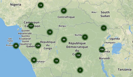 Forestry, Central Africa, COMIFAC, OFAC,