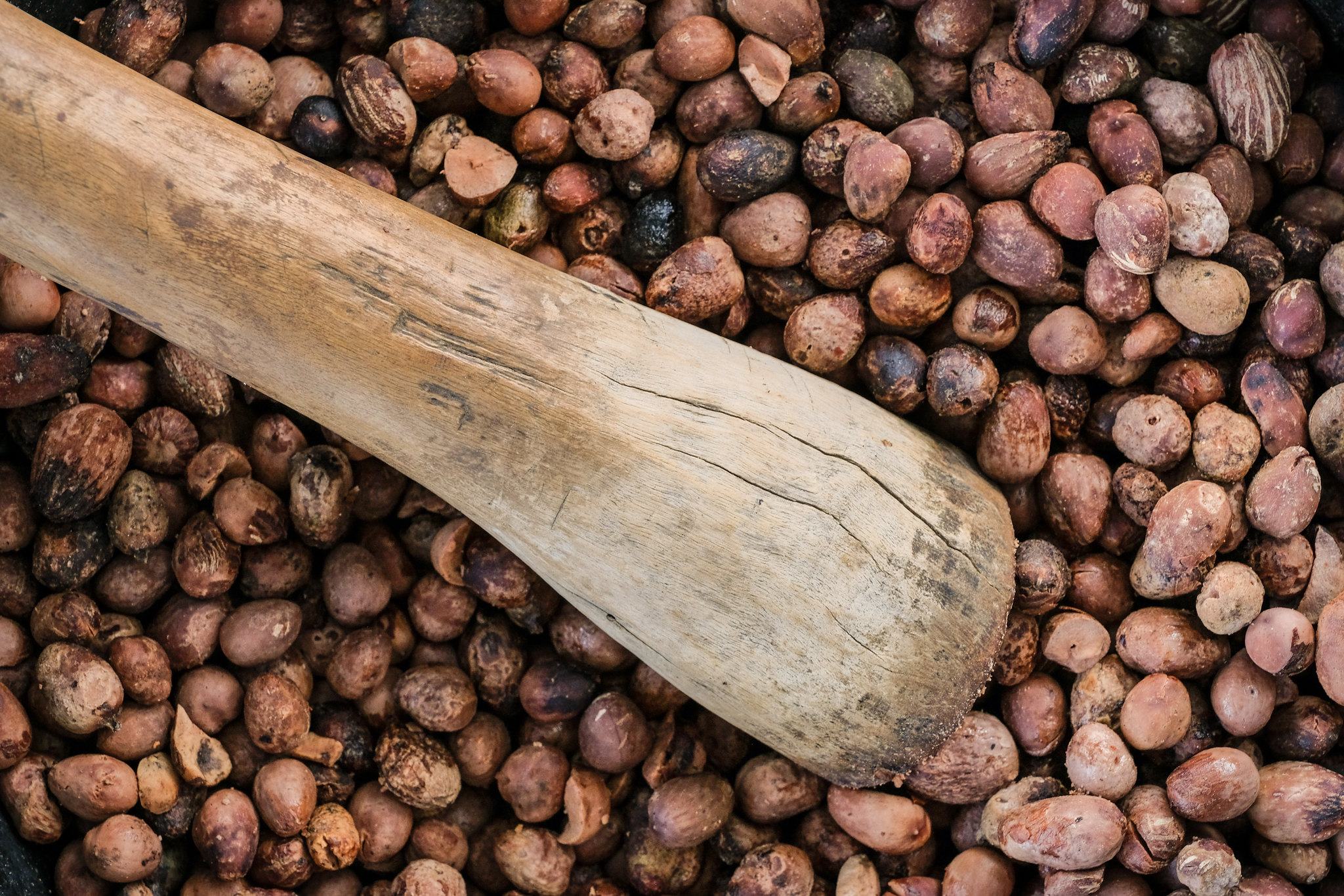 Firewood for income in a degrading landscape