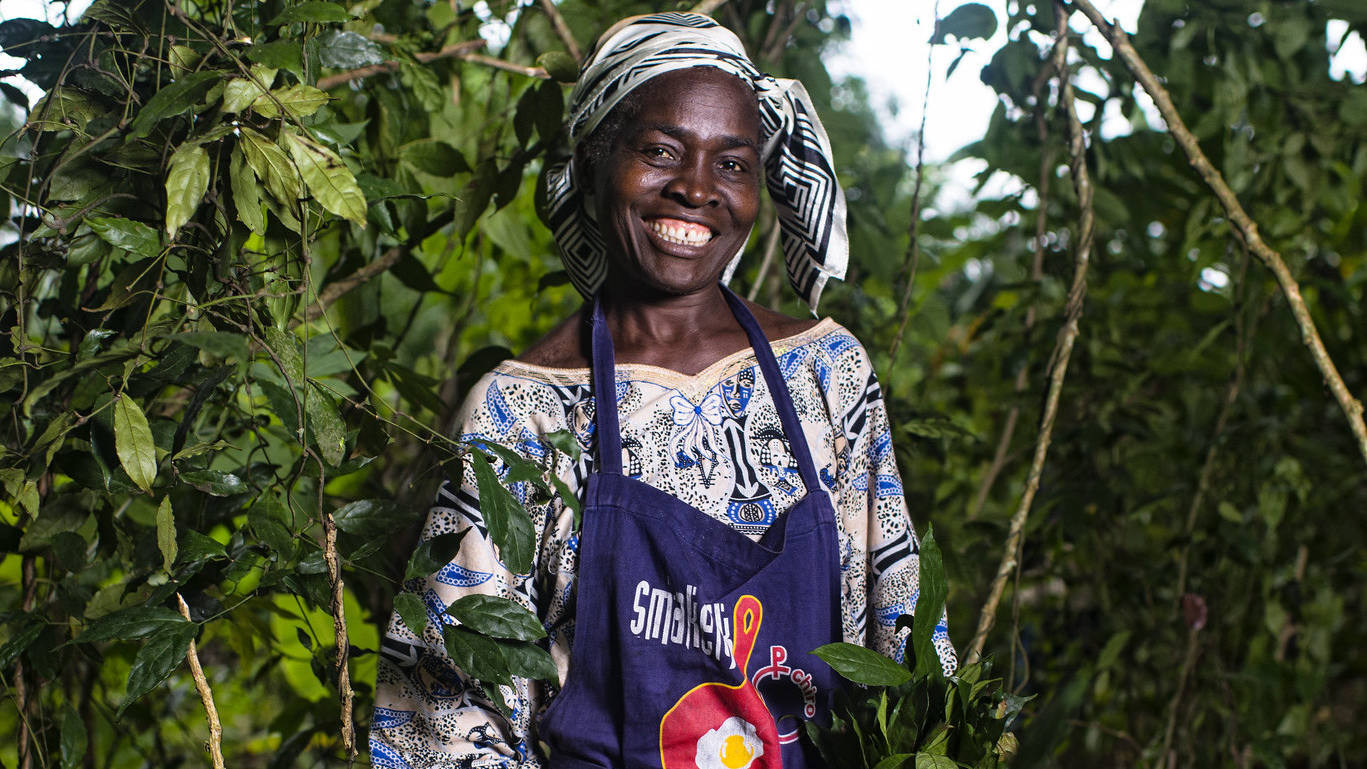 Cameroon forest superfood scores best for women’s health