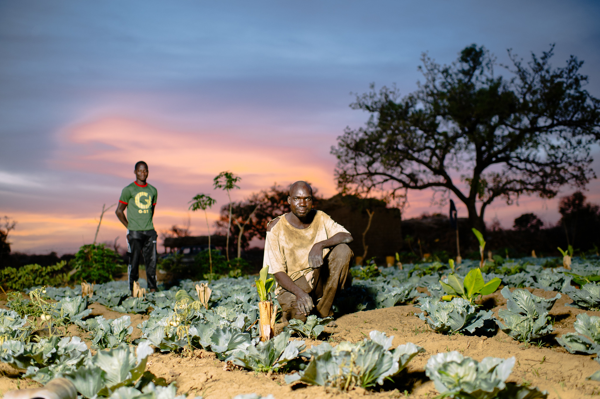 Losing farmland and forest to a national park