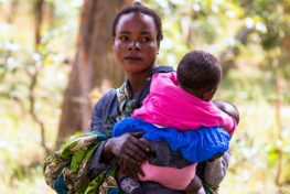 women, land rights, collective land rights