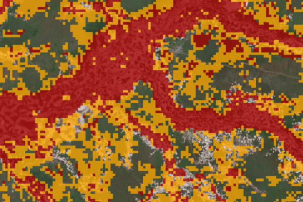 deforestation, DRC, REDD+, research methods, lieki, Democratic Republic of the Congo, Congo basin