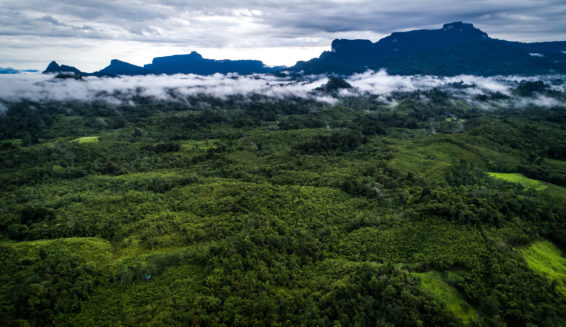 west kalimantan, indonesia, borneo, aerial view, landscapes