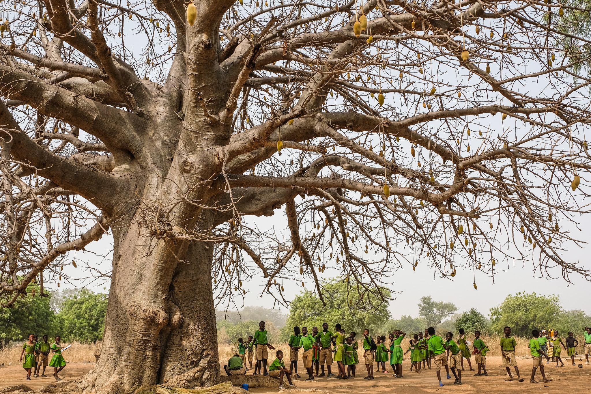 Quand des terres ancestrales tombent sous le joug d’une frontière internationale