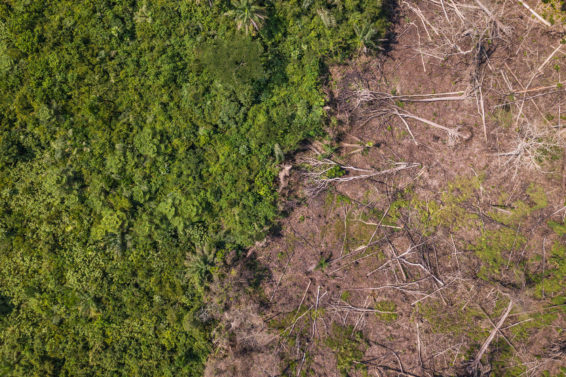 deforestation, DRC, REDD+, research methods, lieki, Democratic Republic of the Congo, Congo basin