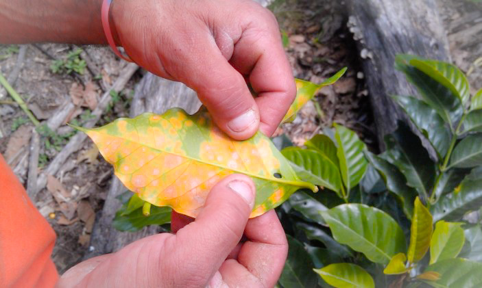 Lecciones de una crisis socio-ecológica