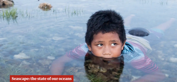 tuvalu, the guardian, rising sea levels, disappearing islands, pacific islands, pacific islanders, climate change