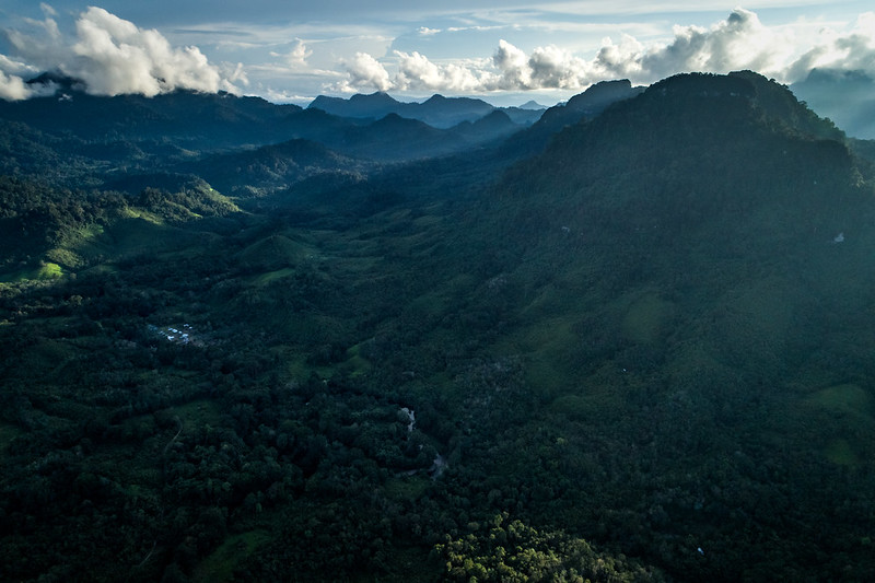 Lebih Fokus Pada Ekologi Borneo