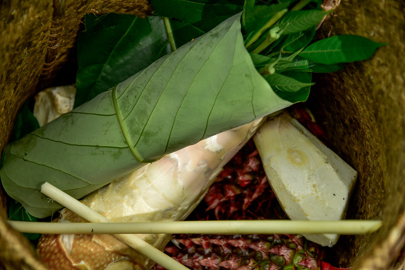 Memprioritaskan pangan dalam reformasi lahan