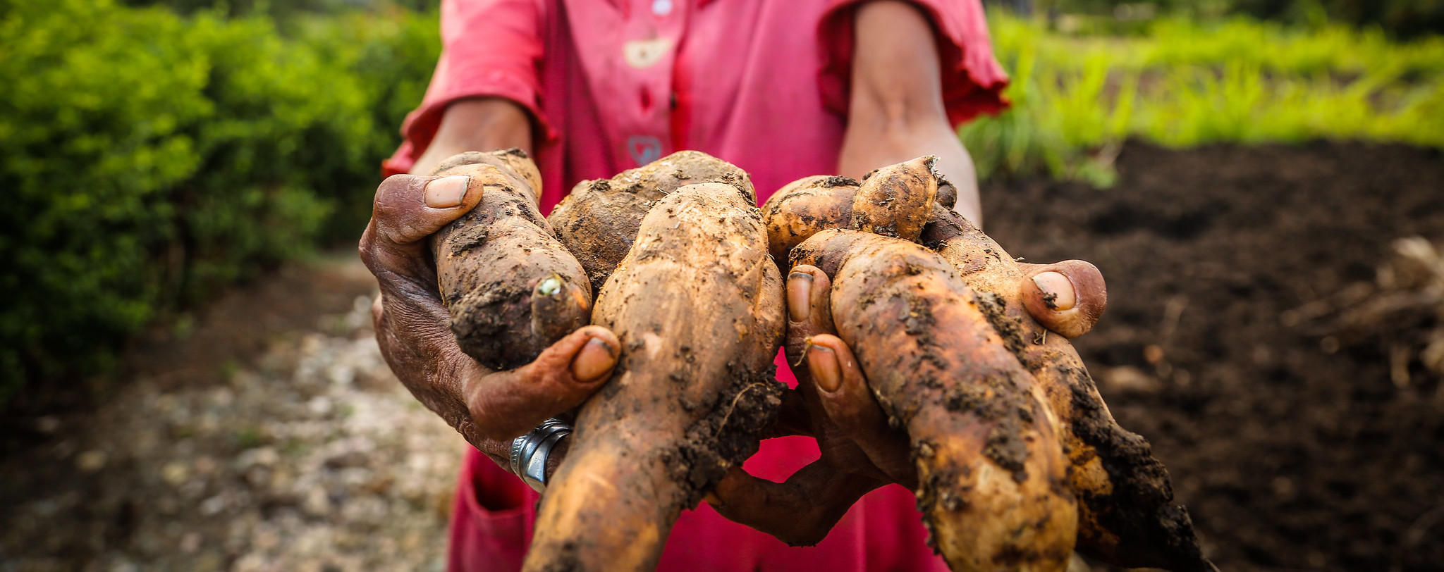 Make food a priority in land reforms