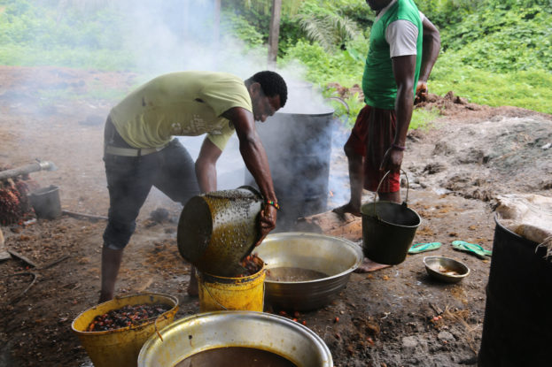 oil palm, palm oil, cameroon, DRC, Congo basin, oil palm in the congo basin, palm oil frontier, palm oil central africa, oil palm central africa, central africa smallholders, palm oil small holders, smallholders
