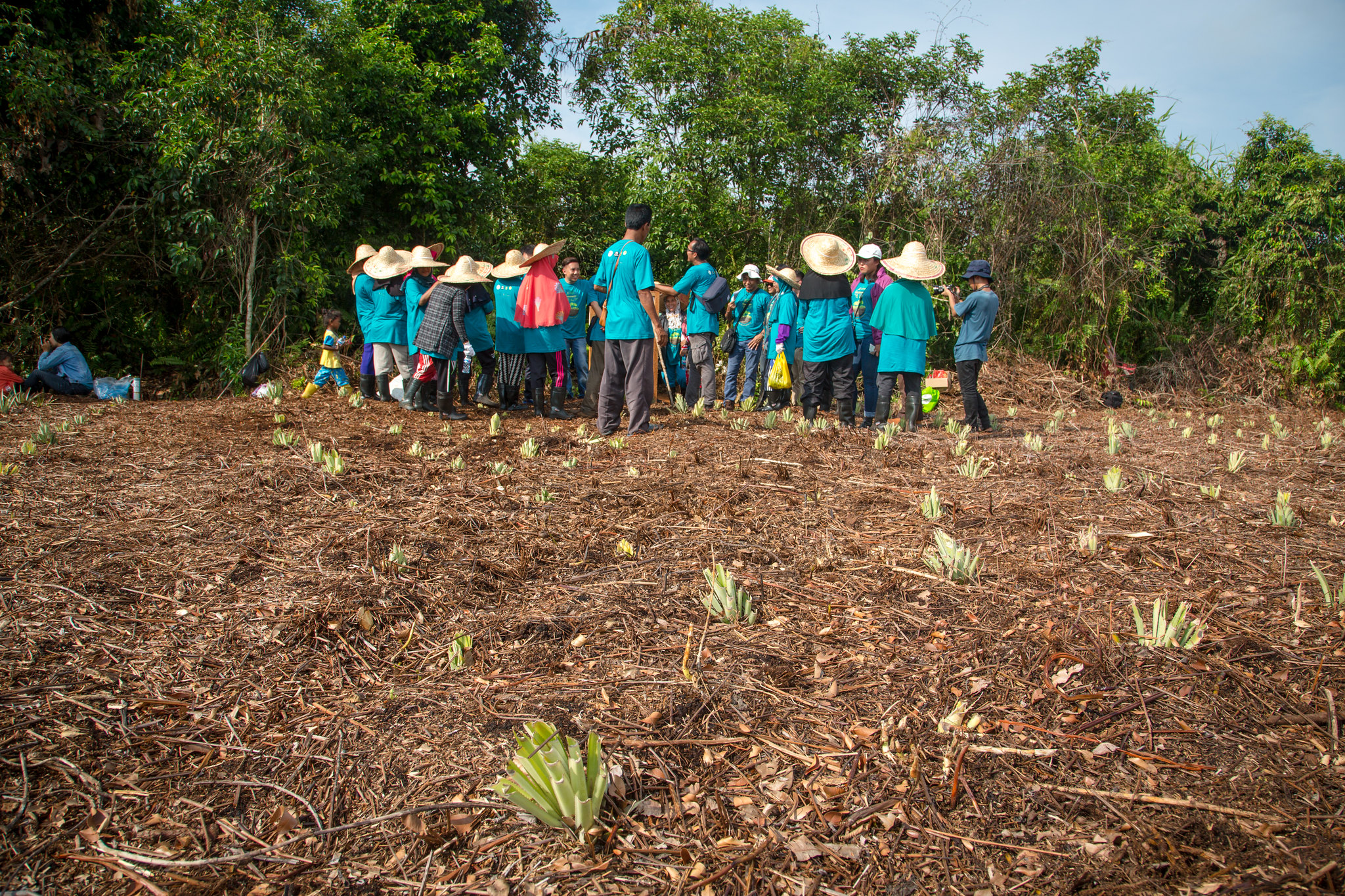 Why there’s more to ecological restoration than ecology