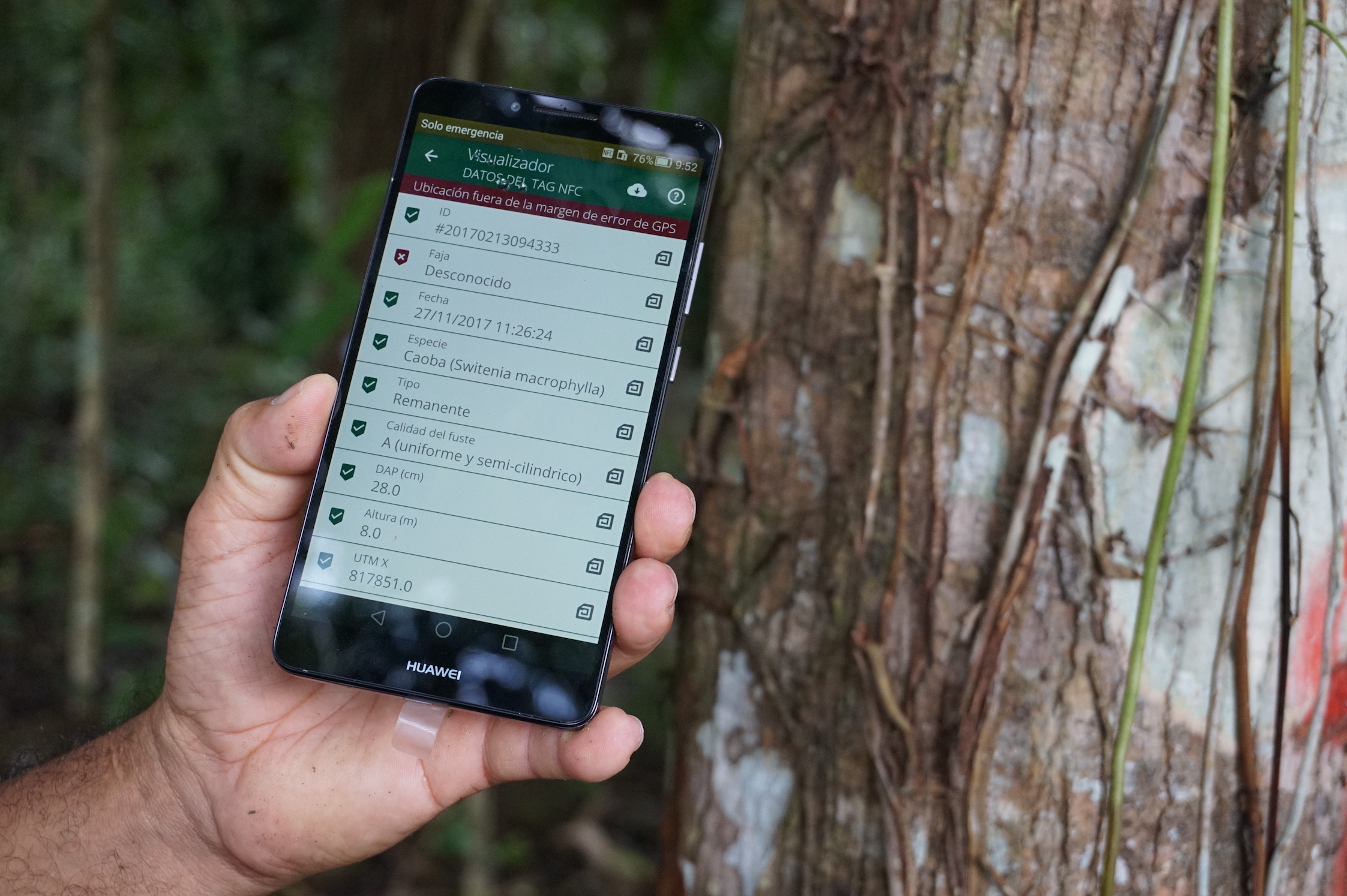 How timber markets can help save tropical forests