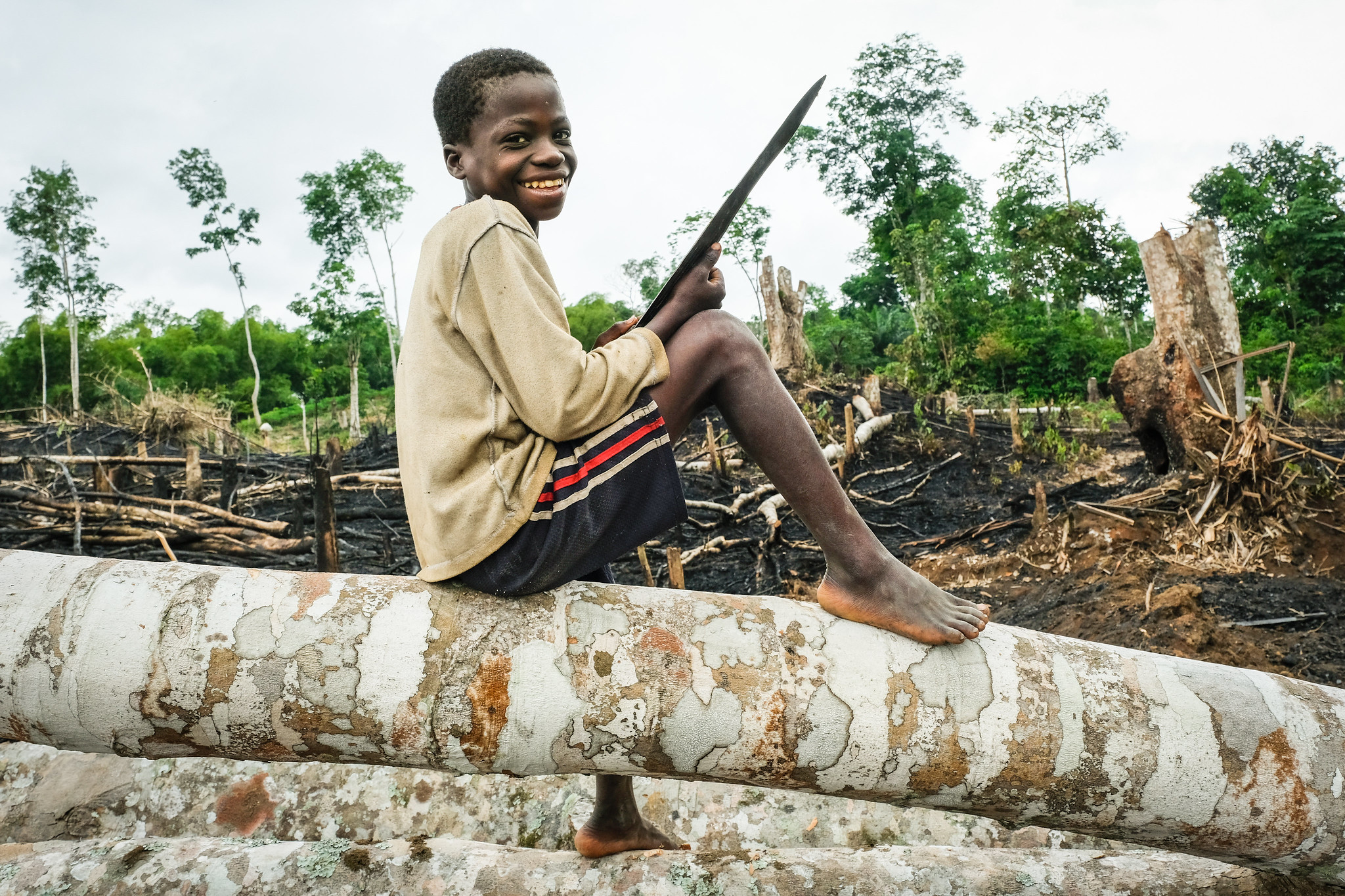 La foresterie doit tenir ses promesses envers les communautés rurales