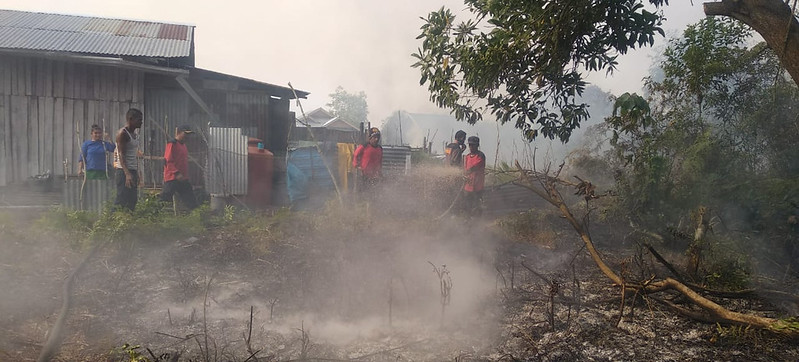 Bagaimana memaknai kebakaran hutan di Amazon dan Indonesia?