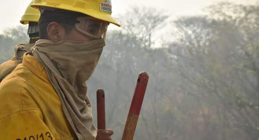 From the frontlines: Fighting Bolivia’s forest fires