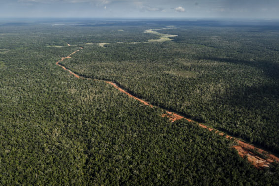 Papua, Indonesia Papua, Papua deforestation, Papua road, Papua highway, Papua Atlas