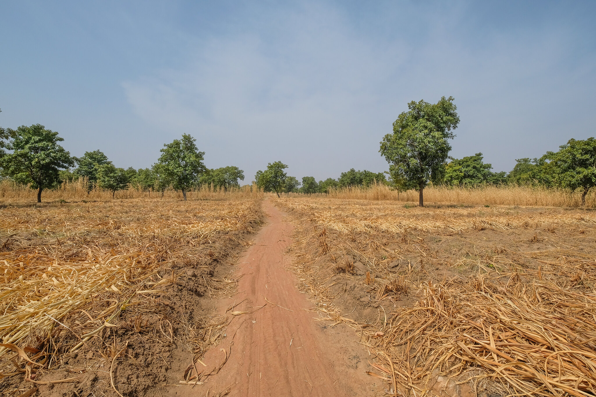 La mise en commun des connaissances dans les paysages tropicaux : clé de la résilience