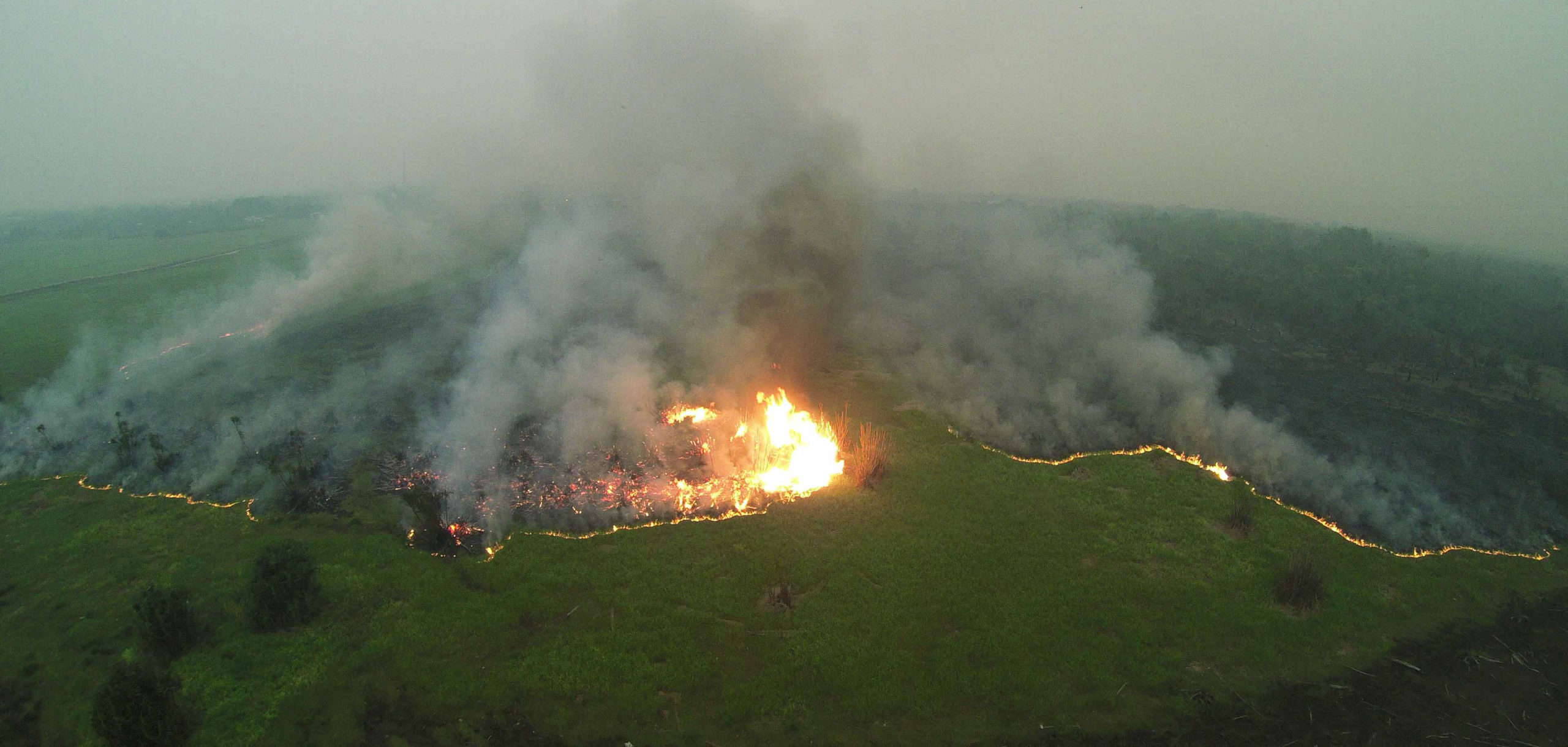 Satellites reveal scale of recent blazes but still less damaging than 2015 fires