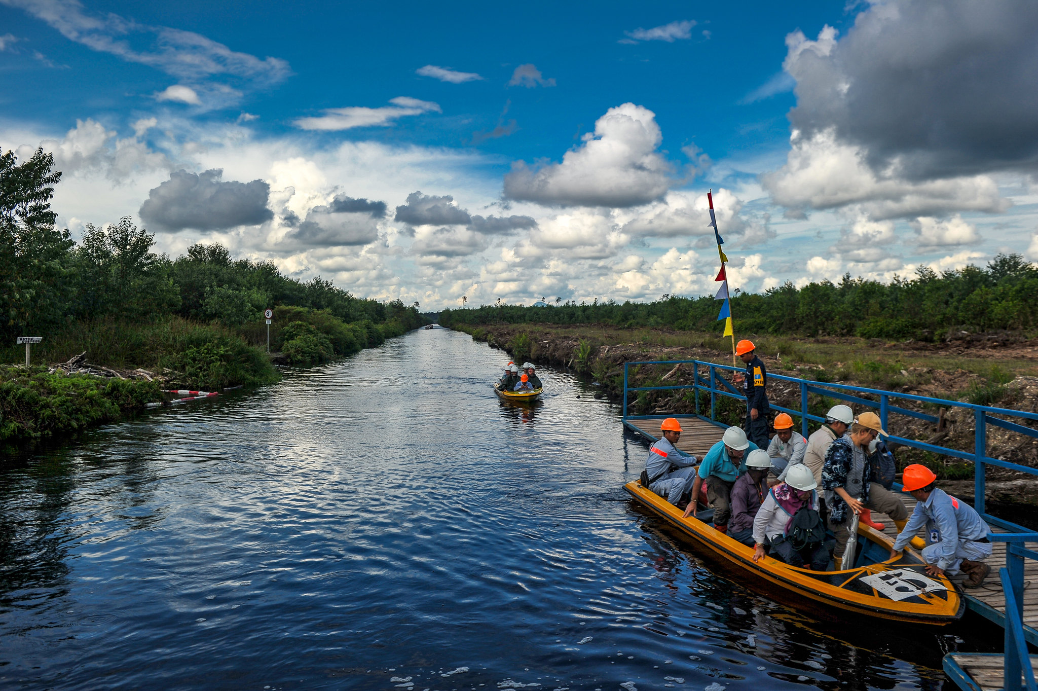 COP25: Se ha desaprovechado el potencial de las turberas en las NDC, aseguran delegados