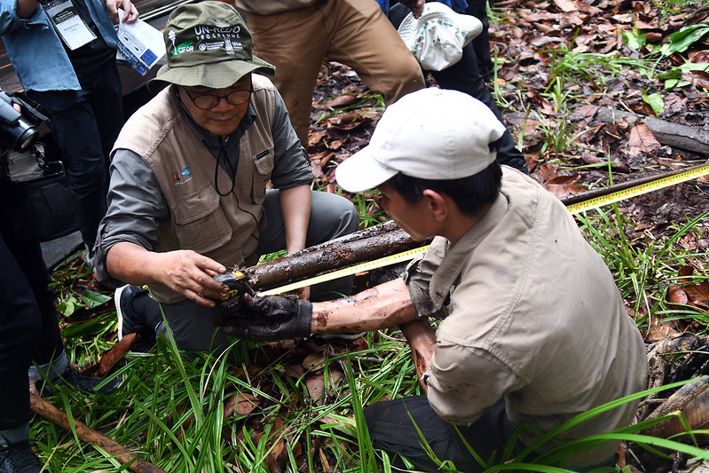 Innovative peatland restoration efforts key to mitigating climate change