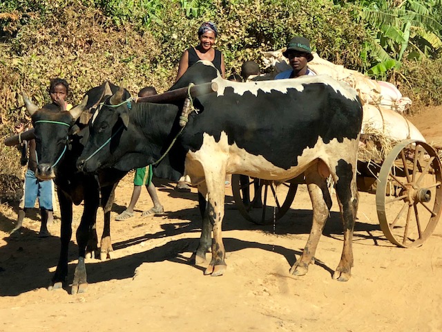 Forest restoration and democracy: Making communities visible in Madagascar