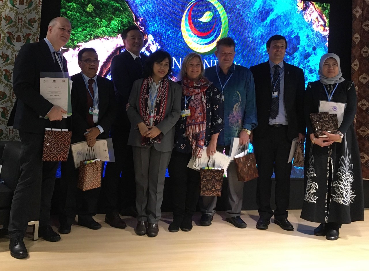 Peatland potential untapped in Nationally Determined Contributions, COP 25 delegates say