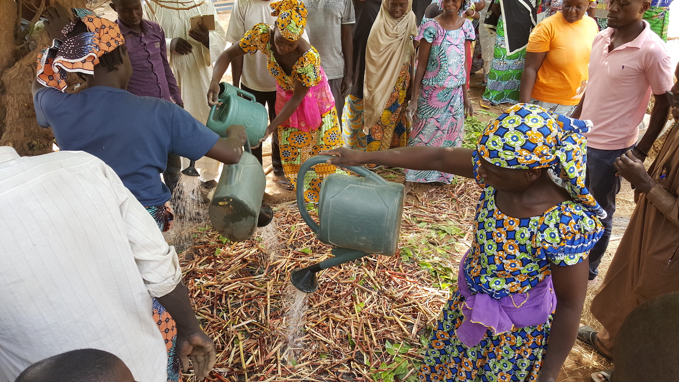 People pour water from watering cans onto decomposing vegetation