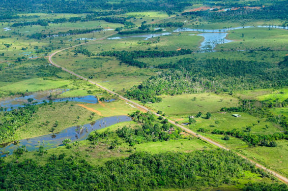Large land area with patches of forests and cleared areas