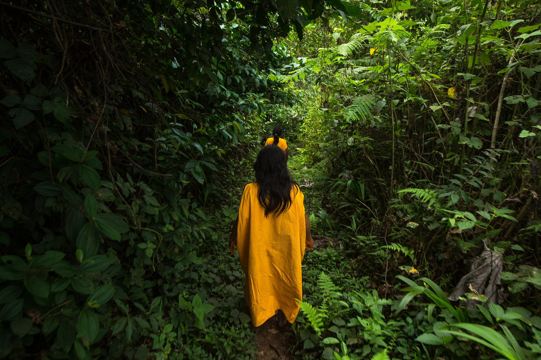 La gestión de los bosques intactos por parte de los pueblos indígenas es clave para el planeta