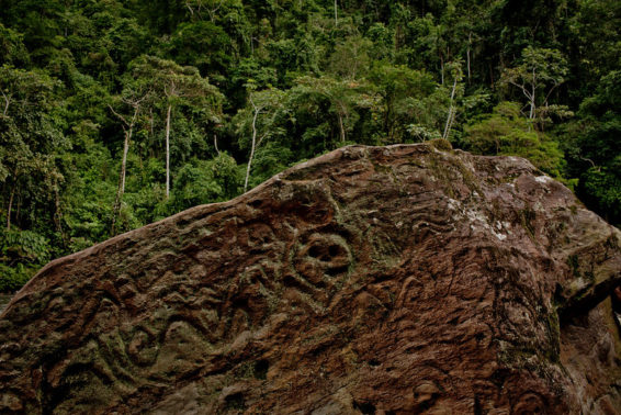 Photo of a petroglyph in the Ecuadorian Amazon forest