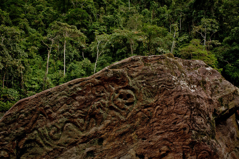 Photo of a petroglyph in the Ecuadorian Amazon forest