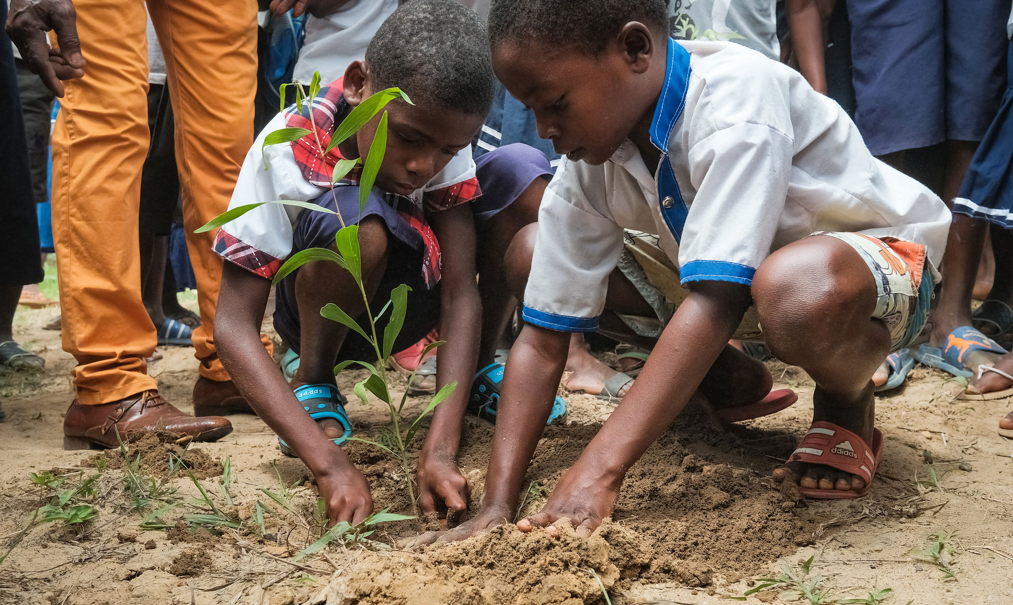 Why education is essential to the future of forests