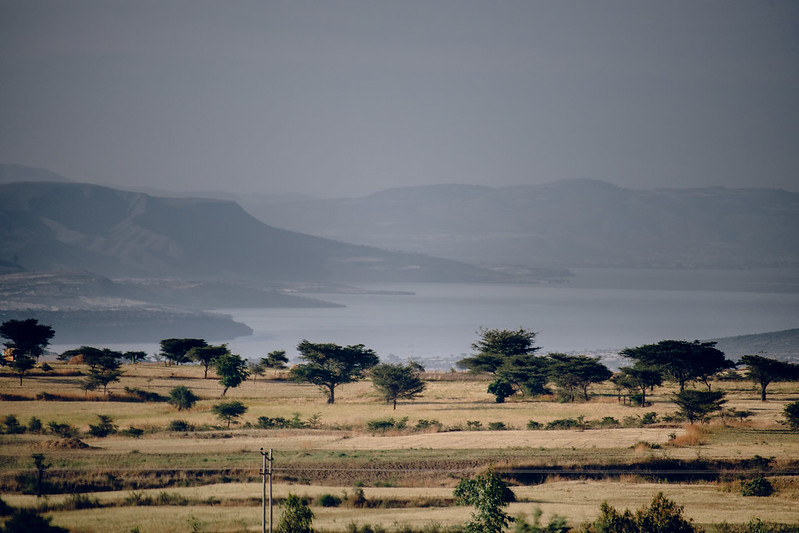 A view of arid fields dotted with trees and a large lake and mountains in the distance