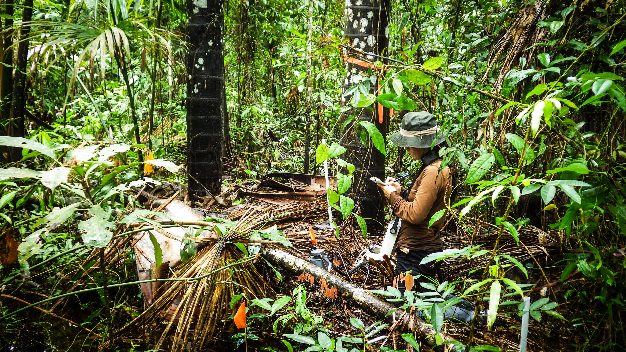 El acceso a la educación es clave para tener más mujeres y niñas en la ciencia