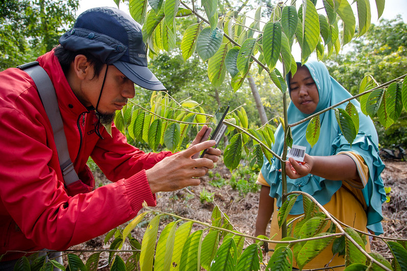 Aplikasi ponsel memudahkan pemantauan upaya restorasi lahan gambut