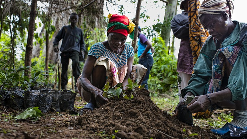 Women farmers, the unsung heroes