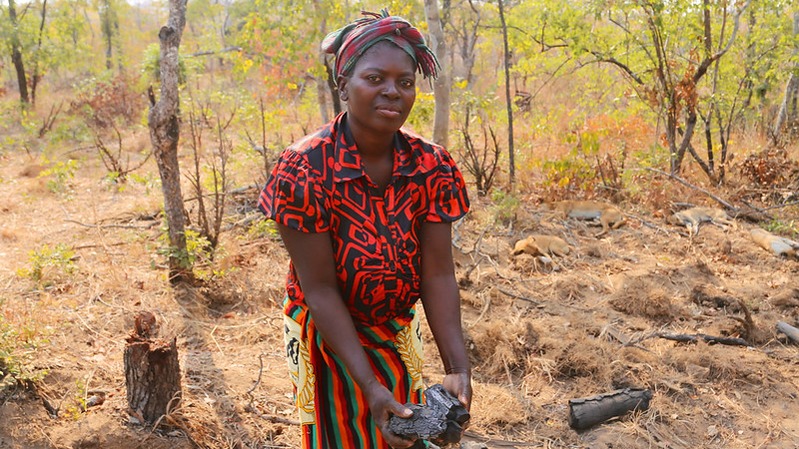 Agroforestry for farmers’ livelihoods and ecosystem services