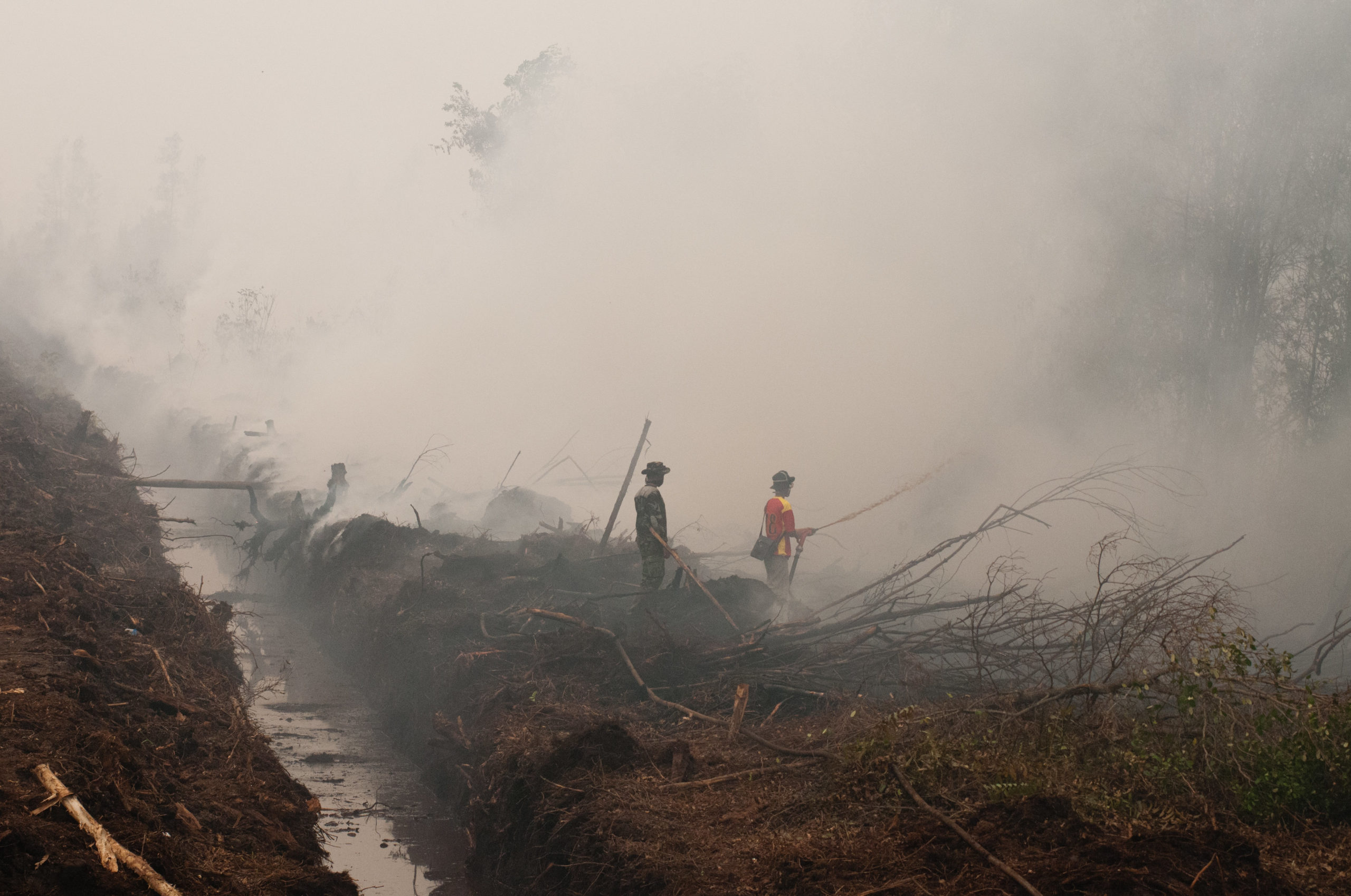 Cómo Indonesia perdió sus turberas y cómo Perú podría evitar un destino similar