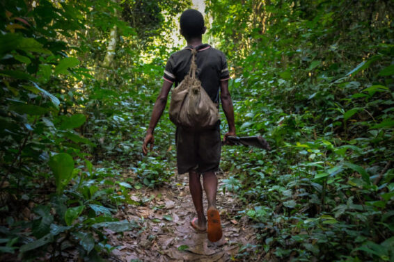 A man walks on a path in the forest holding a rifle by his side