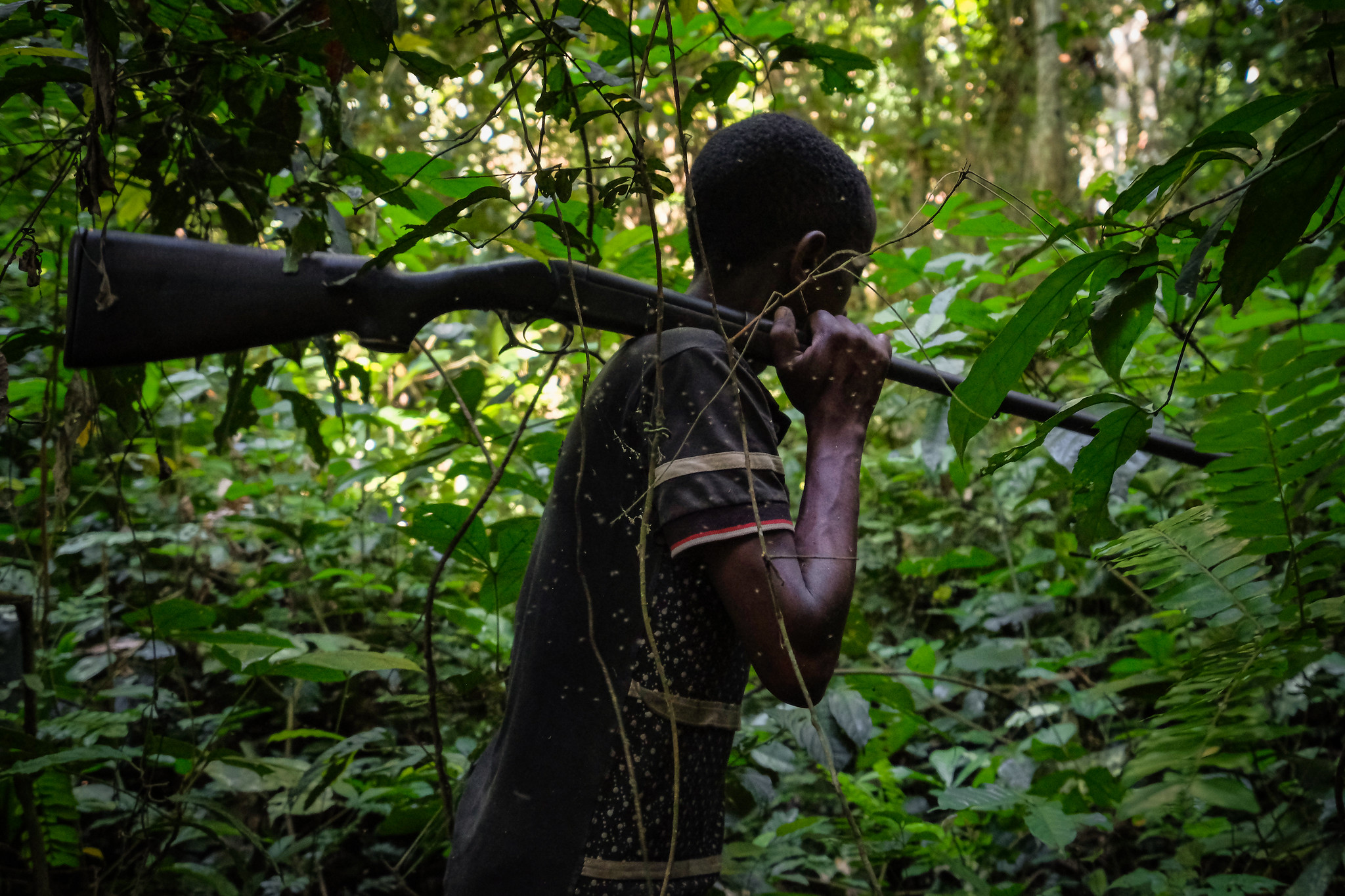 L’interdiction de la viande sauvage à cause du COVID-19 pourrait priver de protéines des millions de personnes habitant dans les forêts