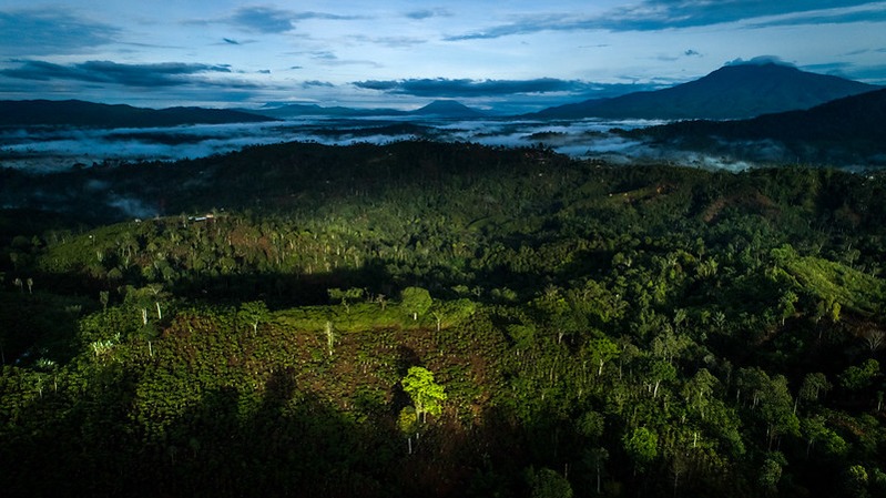 Role of data in Nationally Determined Contributions