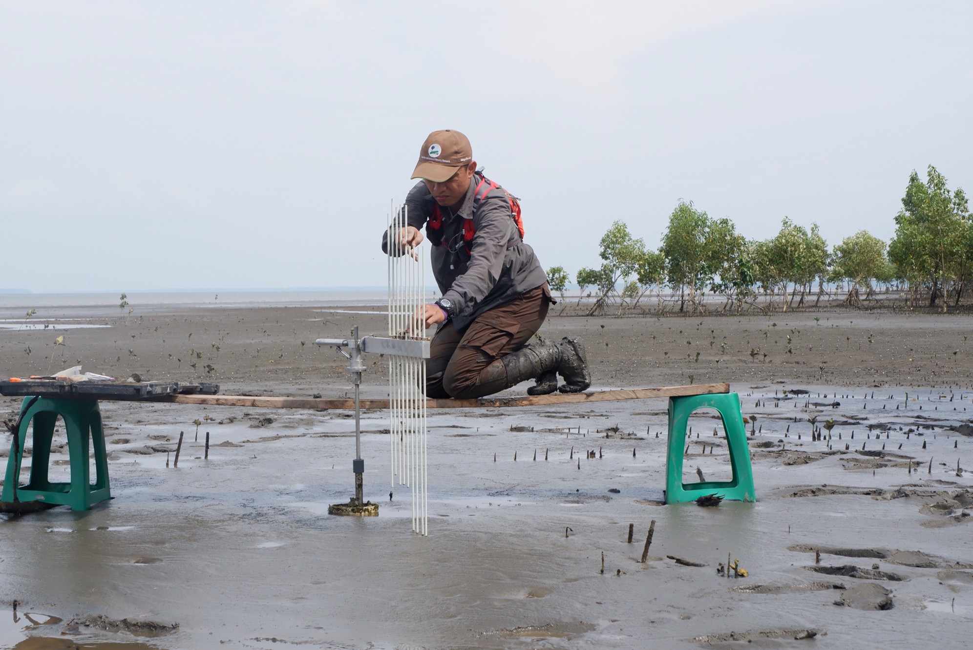 A man kneels on a mudflat and takes a measurement
