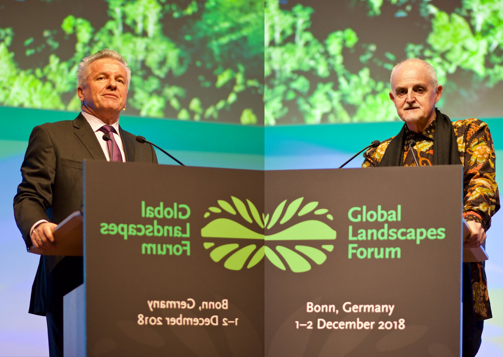 Cinco (o seis) soluciones para salvar los bosques del mundo y restaurar los paisajes