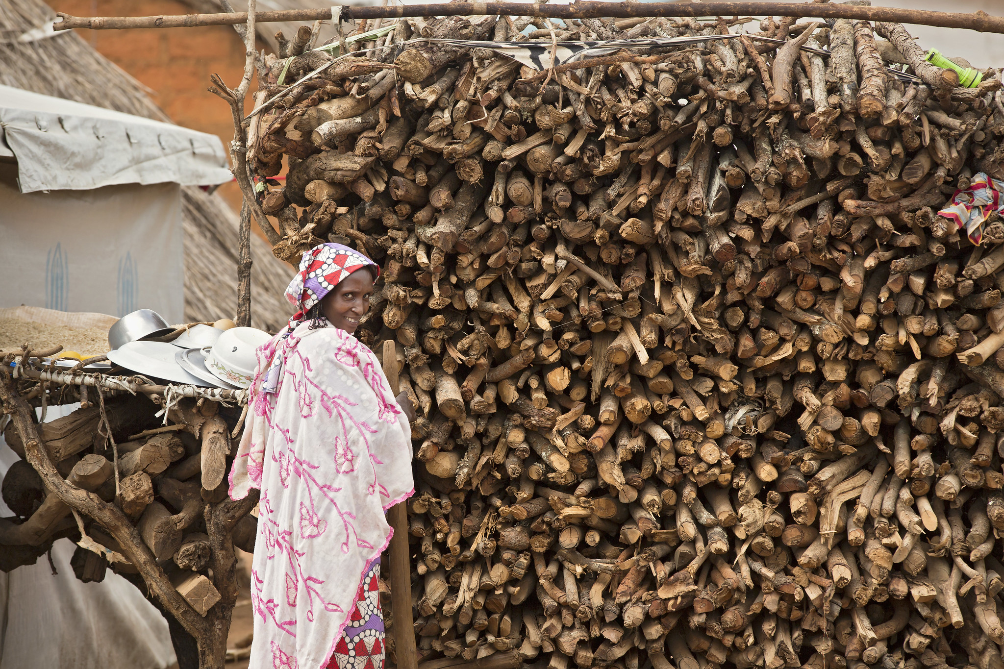 How tree growing can mitigate the environmental impact of displacement