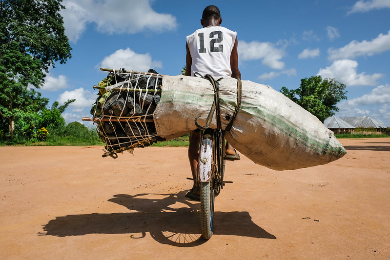 Burning questions about Africa’s wood fuel